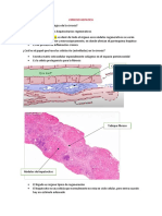 Cirrosis Esteatosis Abestosis Tuberculosis Bronconeumonia Neumonia