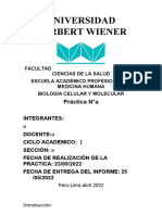 Universidad Norbert Wiener: Práctica N°a