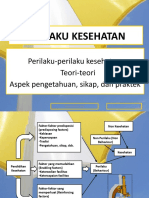 Prilaku Kesehatan