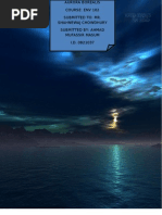 Download The Aurora Borealis Main by Sironamhin SN58090583 doc pdf