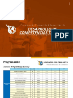Catalogo Competencias Tecnicas LCP
