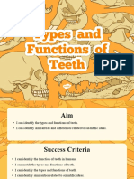 Lesson Presentation Types and Functions of Teeth