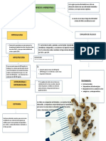 Giron Priscila S11 Fisiopatologia Y Tratamiento de Nefrolitiasis