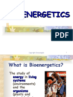 Bioenergetics 1