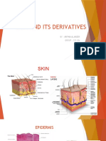 Skin and Its Derivatives