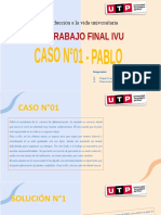 Trabajo Final Ivu