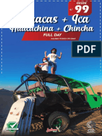 Full Day Paracas Ica 99