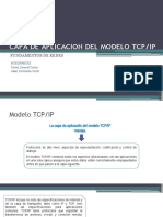 Capa Aplicacion TCP Expo