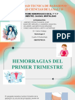 Semiologia Grupo #2 Sindrome de Hemorragia Gestacional Causa y Mortalidad