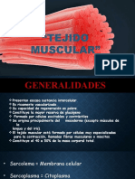 Tejido muscular: características y tipos