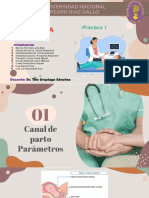 Obstetricia Practica 1 - Grupo 1