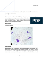 2010-08-05 Protozoários Monoxenos - Tricomoníase