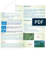 precipitación. meterologia pdf