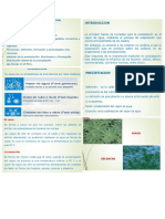 Precipitación. Meterologia PDF