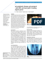 Journal Occlusal 2