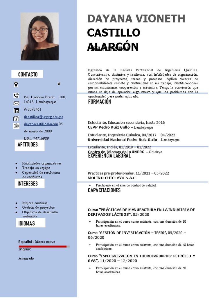Perfil Profesional de Dayana Castillo | PDF | Negocios | Arte