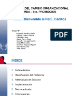 Trabajo - Grupal - Bienvenido Al Perú Carlitos - Preliminar