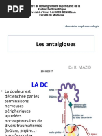 ANTALGIQUES (1)