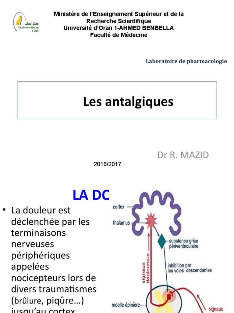 ANTALGIQUES | PDF | Antalgique | Morphine