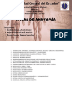 Atlas de Anatomia