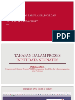 Tahapan Input Data Bayi Dan Balita Ekohort