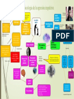 MAPA MENTAL - Agresion Sexual