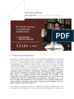 El Derecho de Amar y Su Protección Constitucional