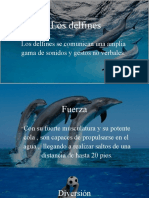 Comunicación y hábitos de los delfines