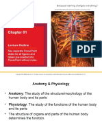 Chapter 1 Introduction To Anatomy and Physiology