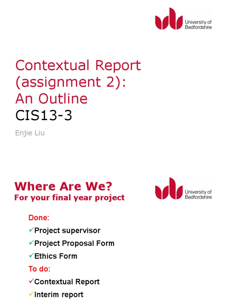 Contextual Report Guidelines for CIS013-3 | PDF | Art