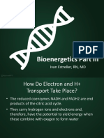 Bioenergetics Part 3