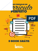 Como Preparar Um Curricuo Perfeito Ebook Gratuito