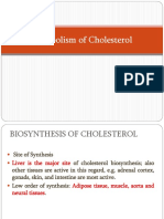 Cholesterol Synthesis