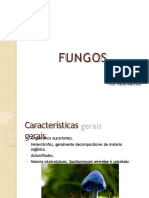Características e tipos de fungos