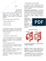 Resumo Inflamação Crônica