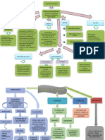 Mapa Conceptual Poryecto de Inversion