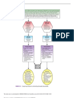 FIGURE 19-1: Concept Map Care Plan For A Client With Post-Traumatic Stress Disorder