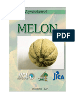 Cadena agroindustrial del melón en Nicaragua