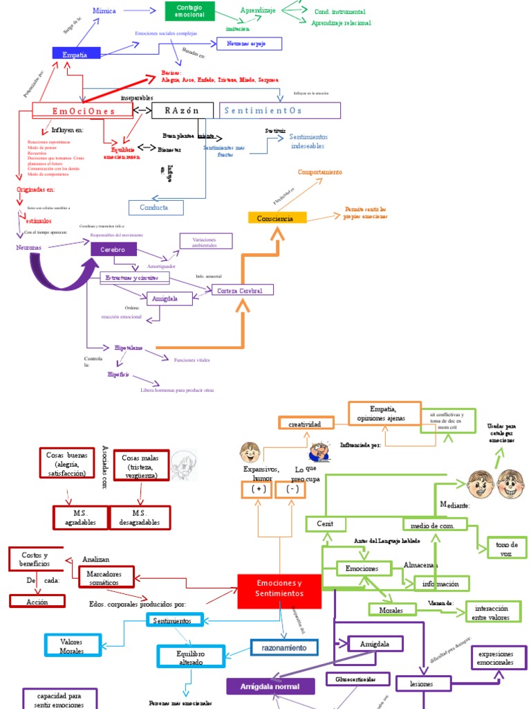 Mapa Conceptual de Las Emociones 13 | PDF | Las emociones | Amígdala