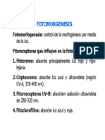 Control de la morfogénesis por la luz: el fitocromo