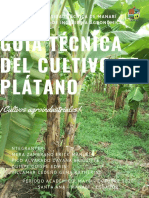 Guía Técnica Del Cultivo de Plátano