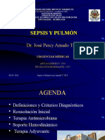 Sepsis y Pulmon 2018 R Neumologia