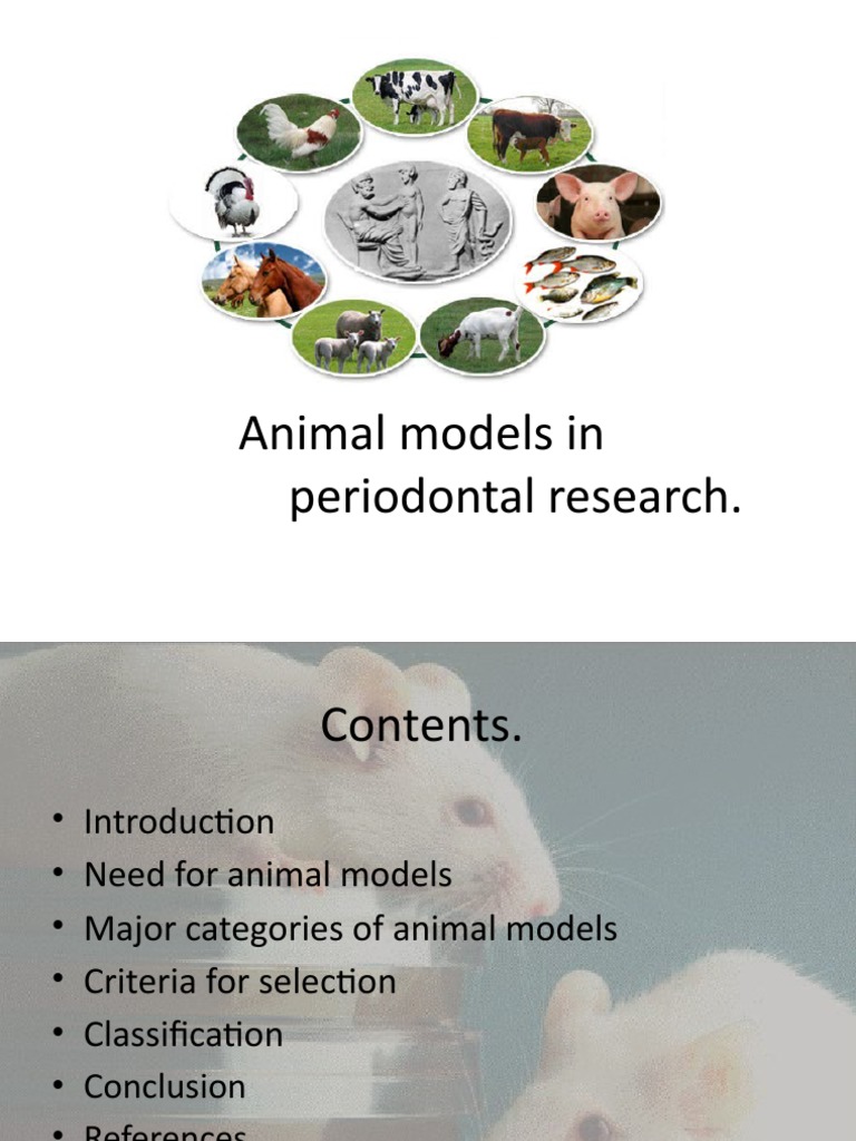 Animal Models in Periodontal Research PDF Periodontology Tooth