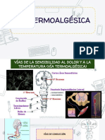 VÍAS TERMOALGÉSICAS Y TACTO SUPERFICIALl