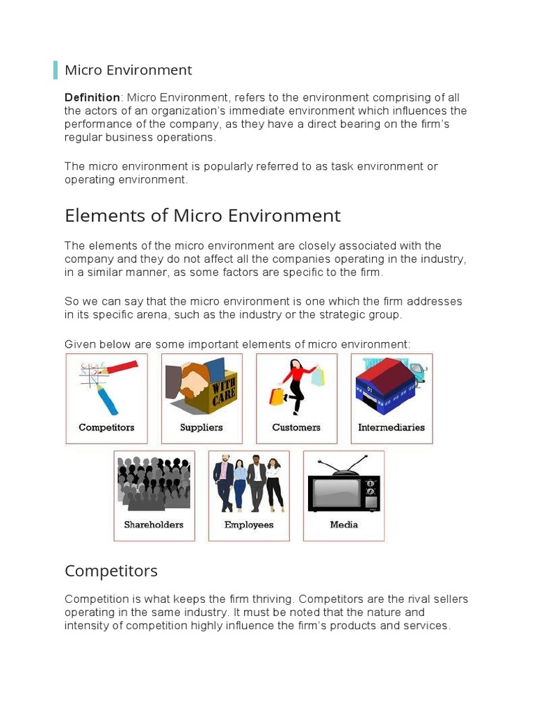 Key Elements of Micro Environment | PDF | Supply Chain | Customer