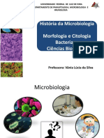 História Da Microbiologia Morfologia E Citologia Bacteriana BIO