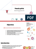 Female Pelvis: Reproductive block-Anatomy-Lecture