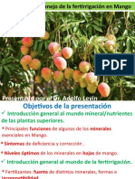 Importancia y Manejo de La Fertirrigación en Mango