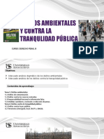 Diapositiva Cuarta Sesion Delitos Ambientales y Contra La Tranquilidad Publica