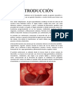 Informe Del Desarrollo Fetal